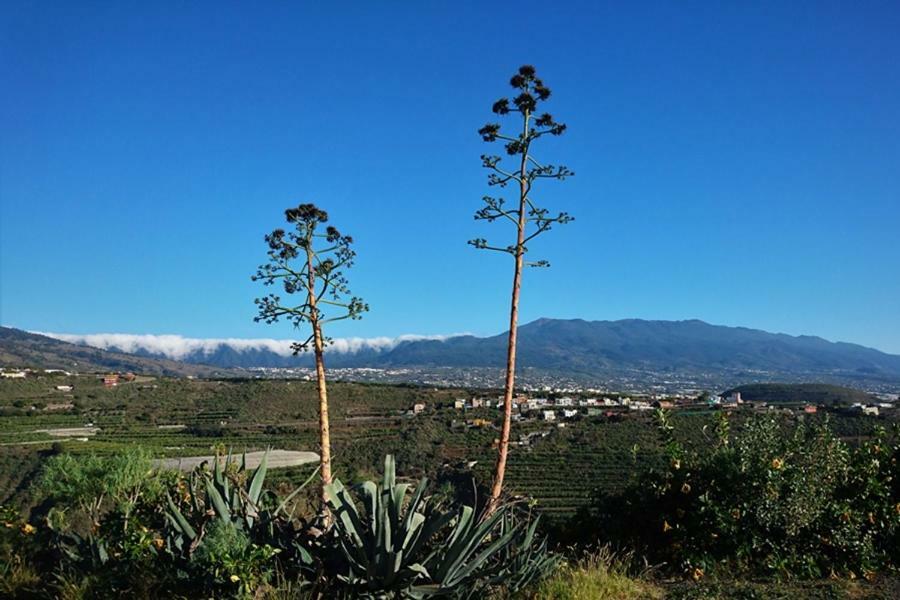 Casa Vista Caldera Villa Tijarafe Eksteriør bilde
